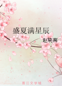 《盛夏满星辰》 作者：赵晓南 txt文件大小：528.42 KB