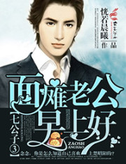《七公子③面瘫老公，早上好   作者：恍若晨曦》 作者： txt文件大小：5.71 MB