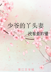 《少爷的丫头妻》 作者：没有鱼的猫 txt文件大小：90.42 KB