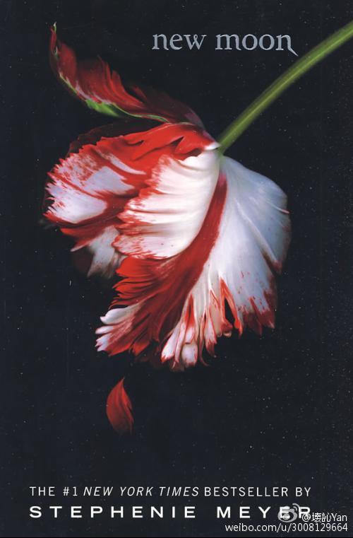 《（暮光同人）[暮光]假如和你相遇》 作者：青春美丽疙瘩逗 txt文件大小：265.62 KB