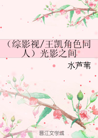《（综影视-王凯角色同人）光影之间》 作者：水芦苇 txt文件大小：182.7 KB