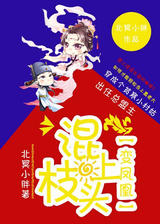 《混上枝头变凤凰》 作者：北冥小嗨皮 txt文件大小：401.76 KB