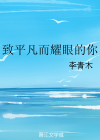 《致平凡而耀眼的你》 作者：李青木 txt文件大小：97.44 KB