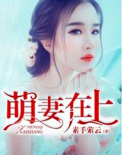 《黑客妈咪带我飞-萌妻在上》 作者：素手萦云 txt文件大小：3.77 MB