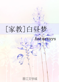 《（家教同人）[家教]白昼梦》 作者：Antaresys txt文件大小：731.55 KB