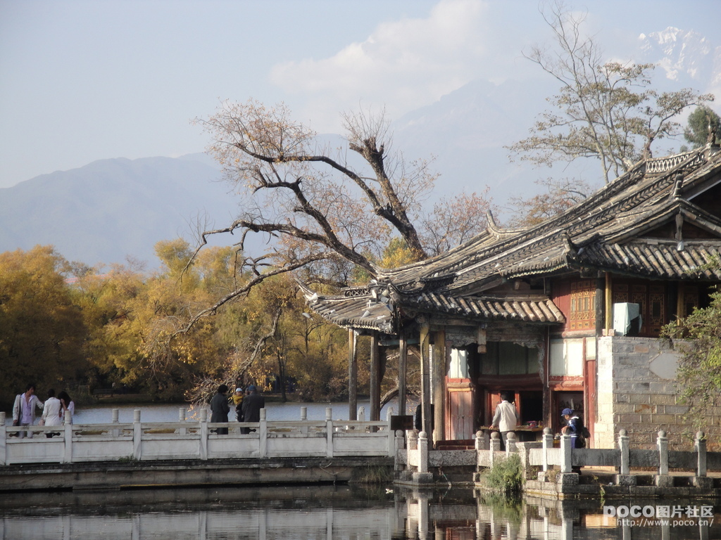 《有生之年狭路相逢》 作者：风里百合 txt文件大小：162.83 KB