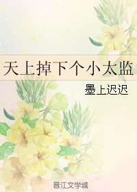 《天上掉下个小太监》 作者：墨上迟迟 txt文件大小：30.63 KB