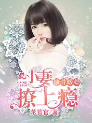 《蚀骨暖婚：小妻撩上瘾》 作者：芣苢官 txt文件大小：2.15 MB