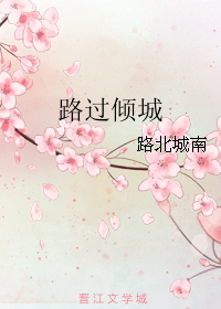 《路过倾城》 作者：路北城南 txt文件大小：110.25 KB