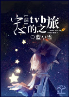 《（综同人）宁心的tvb之旅》 作者：蓝小雪 txt文件大小：532.43 KB