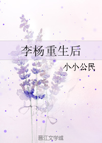 《李杨重生后》 作者：小小公民 txt文件大小：387.62 KB