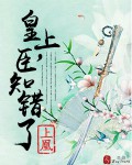 《皇上，臣知错了》 作者：上凰 txt文件大小：381.61 KB