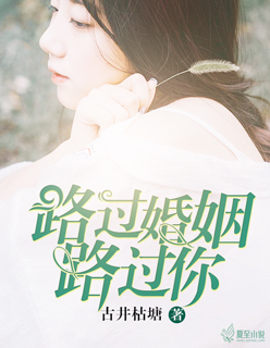 《路过婚姻路过你》 作者：古井枯塘 txt文件大小：362.2 KB