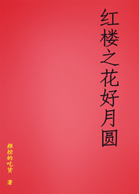 《（红楼同人）红楼之花好月圆》 作者：颜控的吃货 txt文件大小：234.35 KB