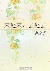《来处来，去处去》 作者：边之光 txt文件大小：77.86 KB