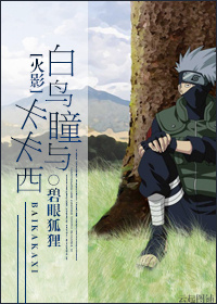 《（火影同人）白鸟瞳与卡卡西》 作者：碧眼狐狸 txt文件大小：197.07 KB