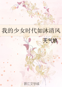 《（我的少女时代同人）我的少女时代如沐清风》 作者：天气娘 txt文件大小：63.97 KB
