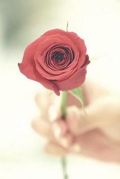 《温言》 作者：苏里的苏 txt文件大小：167.52 KB