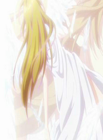 《（网王+月刊同人）[网王+月刊]女神和女汉子》 作者：陳Winnie/陈Winnie txt文件大小：454.93 KB