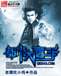 《都市大高手》 作者：老鹰吃小鸡 txt文件大小：5.13 MB