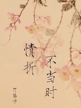 《情折不当时》 作者：阿踢仔/幺九 txt文件大小：595.73 KB