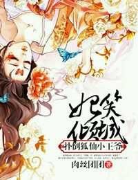 《妃笑倾城，狐仙小王爷》 作者：肉丝团团 txt文件大小：910.3 KB