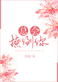 《总会撩倒你-疯女人的倒追史》 作者：苏嬗 txt文件大小：212.6 KB