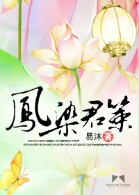 《凤染君策》 作者：易沐 txt文件大小：2.37 MB
