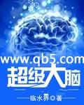 《超级大脑》 作者：临水界 txt文件大小：5.84 MB