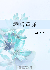《婚后重逢》 作者：鱼大丸 txt文件大小：574.68 KB