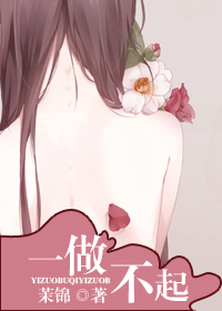 《一做不起》 作者：茉锦 txt文件大小：371.35 KB