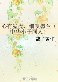 《（中华小子同人）心有猛虎，细嗅馨兰》 作者：諓子黄生 txt文件大小：144.76 KB