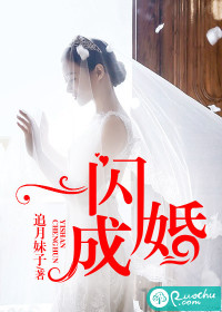 《一闪成婚》 作者：追月妹子 txt文件大小：1.03 MB