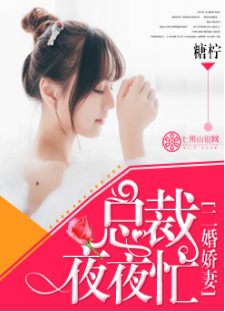 《二婚娇妻：总裁夜夜忙》 作者：糖柠 txt文件大小：1.18 MB