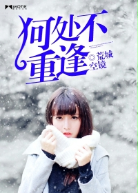 《何处不重逢》 作者：荒城空镜 txt文件大小：653.58 KB