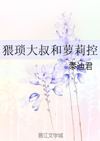 《猥琐大叔和萝莉控》 作者：泰迪君 txt文件大小：66.91 KB