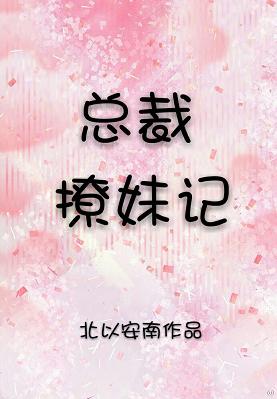 《总裁撩妹记》 作者：北以安南/喻言时 txt文件大小：324.59 KB