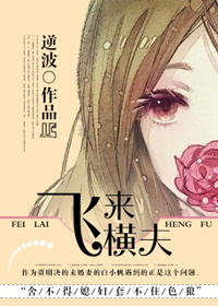 《飞来横夫-驯夫记》 作者：逆波 txt文件大小：435.55 KB