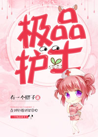 《极品护士》 作者：有一个胖子 txt文件大小：353.57 KB