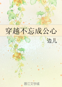 《穿越不忘成公心》 作者：边儿 txt文件大小：221.12 KB