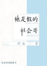 《他是假的社会哥》 作者：纤夜 txt文件大小：374.93 KB