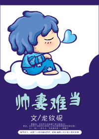 《帅妻难当》 作者：龙纹砚 txt文件大小：620.45 KB