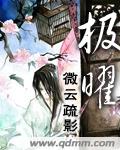 《极曜》 作者：微云疏影 txt文件大小：748.24 KB
