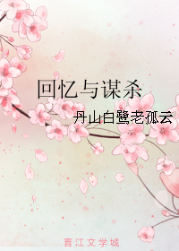 《回忆与谋杀》 作者：丹山白鹭老孤云 txt文件大小：453.28 KB