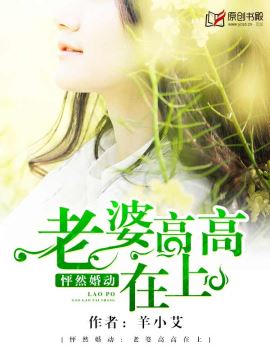 《怦然婚动：老婆高高在上》 作者：羊小艾 txt文件大小：1.76 MB