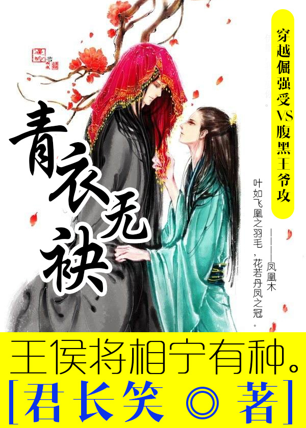 《青衣无袂》 作者：晏君笑 txt文件大小：193.14 KB