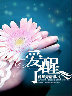 《爱醒了》 作者：鹤舞弄清影 txt文件大小：457.13 KB