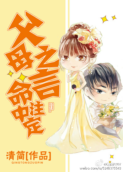 《父母之言 命中注定[婚恋]》 作者：清简 txt文件大小：211.05 KB