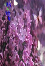 《摇曳的紫蝴蝶》 作者：芸萍 txt文件大小：306.15 KB