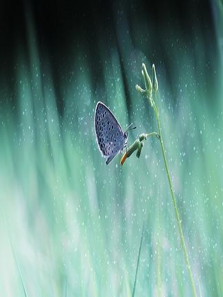 《为医你而来》 作者：溪水漫漫 txt文件大小：379.82 KB